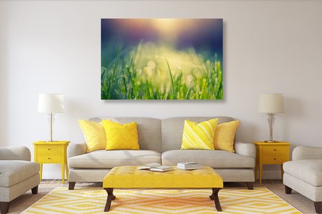 ΕΙΚΌΝΑ ΔΡΟΣΙΆ ΛΙΒΑΔΙΟΎ - ΠΊΝΑΚΕΣ ΦΎΣΗΣ ΚΑΙ ΤΟΠΊΟΥ - ΠΊΝΑΚΕΣ