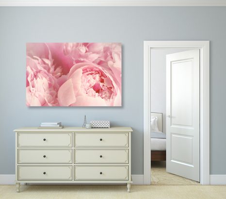 OBRAZ LUPÍNKY KVĚTU - OBRAZY KVĚTŮ - OBRAZY