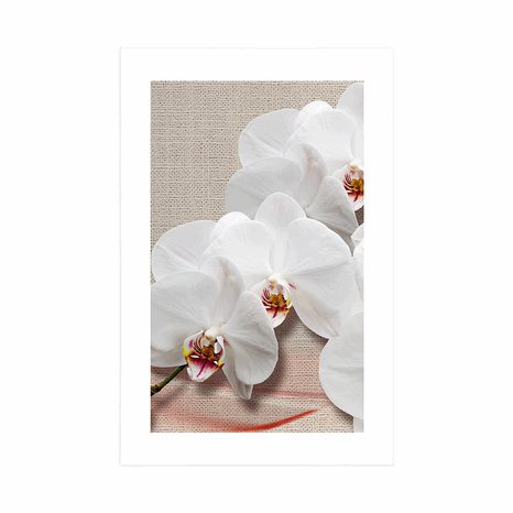 AFFICHE – ORCHIDÉE BLANCHE SUR TOILE - FLEURS - AFFICHES