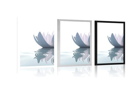 POSTER LOTUS FLOWER IN THE RIVER - FLOWERS - POSTERS
