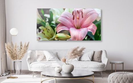 CANVAS PRINT PINK LILY IN BLOOM - PICTURES FLOWERS - PICTURES