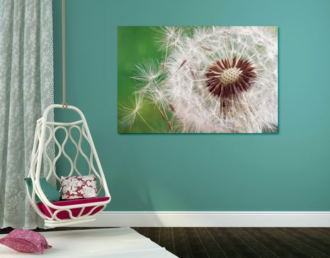 КАРТИНА НА ПЛАТНО – СЕМЕНА НА ГЛУХАРЧЕ - КАРТИНИ С ЦВЕТЯ - КАРТИНИ