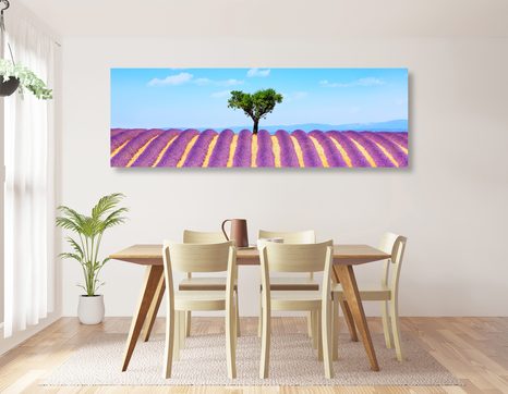 ΕΙΚΌΝΑ ΧΩΡΆΦΙ ΜΕ ΛΕΒΆΝΤΑ ΤΗΣ ΠΡΟΒΗΓΚΊΑΣ - ΠΊΝΑΚΕΣ ΦΎΣΗΣ ΚΑΙ ΤΟΠΊΟΥ - ΠΊΝΑΚΕΣ