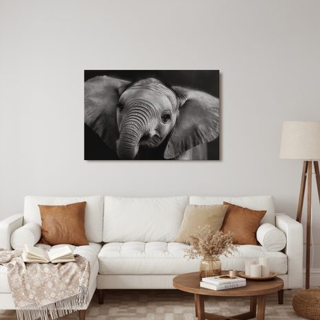 OBRAZ SLONÍ MLÁDĚ V DETAILU - OBRAZY SLONI - OBRAZY