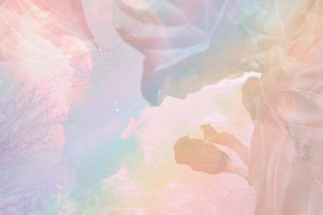 OBRAZ ODRAZ LISTOV V JAZERE - OBRAZY STROMY A LISTY - OBRAZY