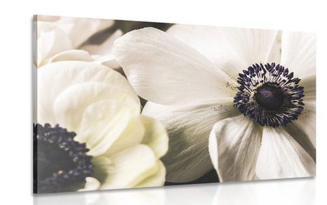 CANVAS PRINT BLOSSOMED FLOWERS
