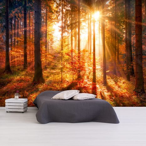 SELF ADHESIVE WALLPAPER FOREST IN AUTUMN