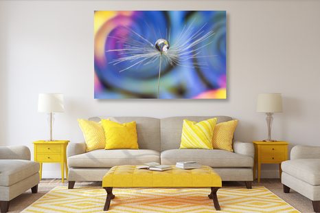 OBRAZ KVAPKA ROSY NA FAREBNOM POZADÍ - OBRAZY KVETOV - OBRAZY