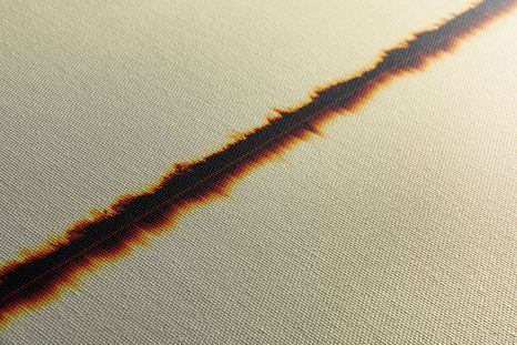 SLIKA JEZDEC NA KONJU - SLIKE ŽIVALI - SLIKE