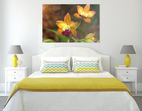 TABLOU ORHIDEE PORTOCALIE - TABLOU FLORI - TABLOURI