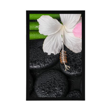 POSTER – NATURA MORTA WELLNESS - FENG SHUI - POSTER