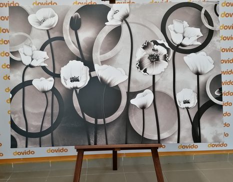 ΕΙΚΌΝΑ ΠΑΠΑΡΟΎΝΕΣ ΣΕ ΑΦΗΡΗΜΈΝΟ ΦΌΝΤΟ ΣΕ ΑΣΠΡΌΜΑΥΡΟ - ΠΊΝΑΚΕΣ ΑΣΠΡΌΜΑΥΡΕΣ - ΠΊΝΑΚΕΣ