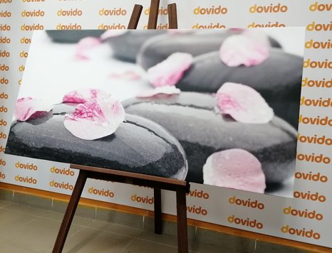 OBRAZ WELLNES KAMENY S LUPÍNKY - OBRAZY FENG SHUI - OBRAZY