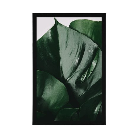 AFFICHE – FEUILLE DE MONSTERA - FLEURS - AFFICHES