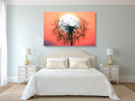 OBRAZ PÚPAVA PRI ZÁPADE SLNKA - OBRAZY KVETOV - OBRAZY
