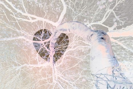 SAMOLEPÍCÍ TAPETA PODZIMNÍ NÁMRAZA - SAMOLEPÍCÍ TAPETY - TAPETY