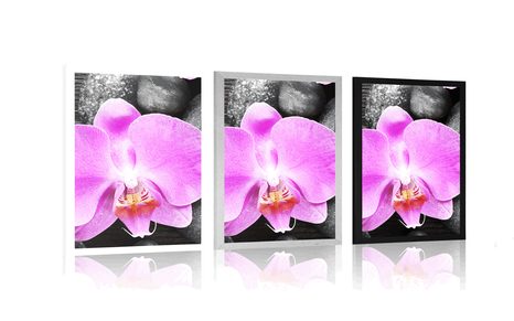 PLAGÁT NÁDHERNÁ ORCHIDEA A KAMENE - FENG SHUI - PLAGÁTY