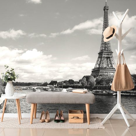 WALL MURAL BEAUTIFUL BLACK AND WHITE PANORAMA OF PARIS - BLACK AND WHITE WALLPAPERS - WALLPAPERS