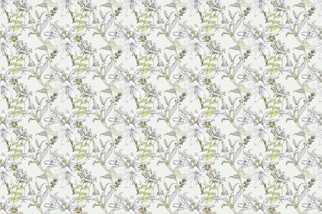 TAPETA KRESLENÁ LILIE - TAPETY KVĚTINY - TAPETY