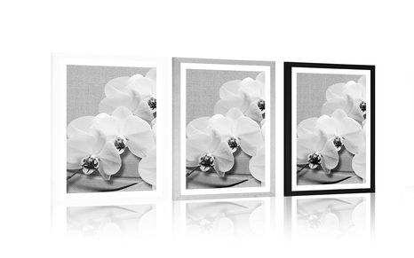POSTER – ORCHIDEA SU TELA IN BIANCO E NERO - NERO E BIANCO - POSTER