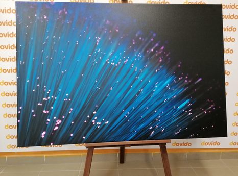 SLIKA OPTIČNA VLAKNA - SLIKE TIHOŽITJE - SLIKE