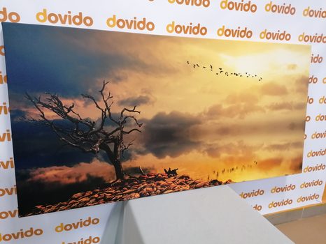 OBRAZ VYSCHLÝ STROM - OBRAZY PŘÍRODY A KRAJINY - OBRAZY