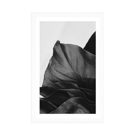 POSTER MIT PASSEPARTOUT BEZAUBERNDES BLATT DER MONSTERA IN SCHWARZ-WEISS - SCHWARZ-WEISS - POSTER