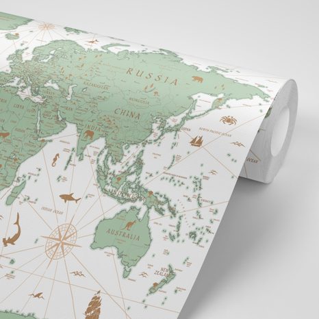 CARTA DA PARATI AUTOADESIVA – MAPPA VERDE - CARTA DA PARATI AUTOADESIVE - CARTA DA PARATI