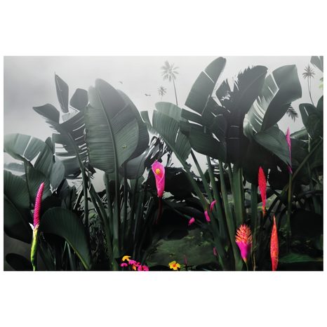 CARTA DA PARATI AUTOADESIVA – NATURA MORTA CON FOGLIE - CARTA DA PARATI AUTOADESIVE - CARTA DA PARATI