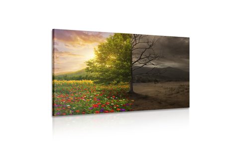 SLIKA DVE PODOBI DREVESA - SLIKE NARAVE IN POKRAJINE - SLIKE