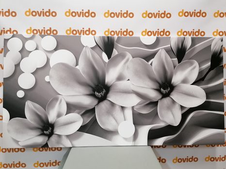 CANVAS PRINT BLACK AND WHITE MAGNOLIA ON AN ABSTRACT BACKGROUND - BLACK AND WHITE PICTURES - PICTURES
