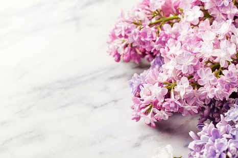 FOTOTAPETA ŠEŘÍK NA MRAMORU - TAPETY KVĚTINY - TAPETY