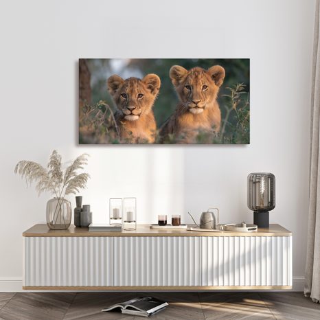 OBRAZ DVOJICE MLADÝCH LVŮ - OBRAZY LVI A TYGŘI - OBRAZY