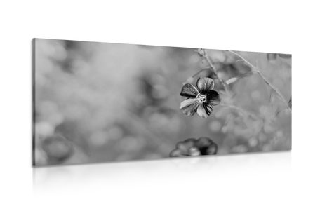 CANVAS PRINT FLOWERS IN BLACK AND WHITE
