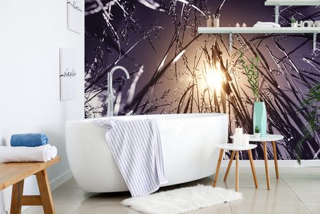 FOTOTAPETA POLNÍ TRÁVA - TAPETY PŘÍRODA - TAPETY