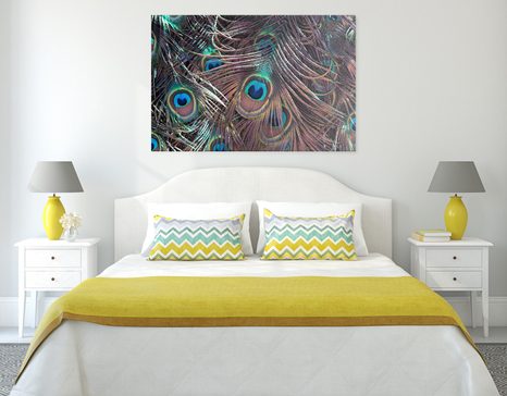 SLIKA PAVJE PERO - SLIKE TIHOŽITJE - SLIKE