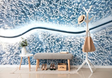 SAMOLEPÍCÍ FOTOTAPETA POHLED NA ZIMNÍ KRAJINU - SAMOLEPÍCÍ TAPETY - TAPETY