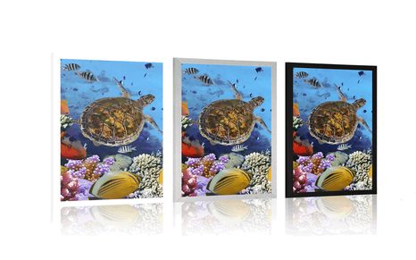 POSTER UNTERWASSERWELT - TIERE - POSTER