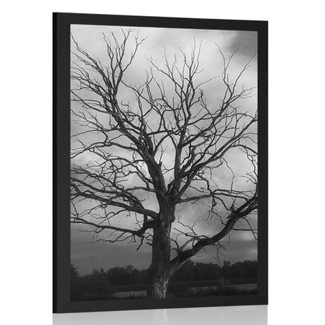 POSTER BLACK AND WHITE TREE ON THE MEADOW - BLACK AND WHITE - POSTERS