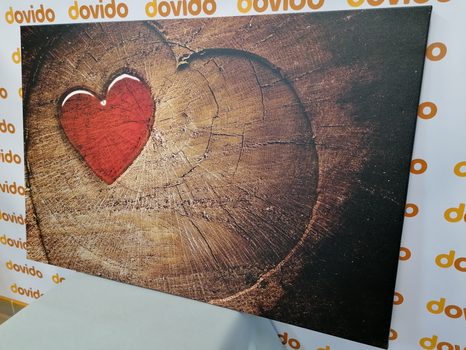 CANVAS PRINT HEART ON A STUMP - PICTURES OF NATURE AND LANDSCAPE - PICTURES