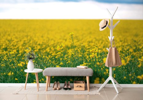 SELBSTKLEBENDE FOTOTAPETE GELBES BLÜHENDES FELD - SELBSTKLEBENDE TAPETEN - TAPETEN