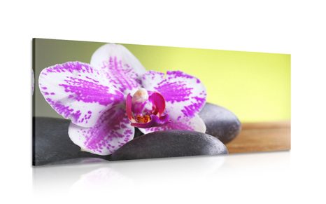 PICTURE ORCHID AND BLACK STONES