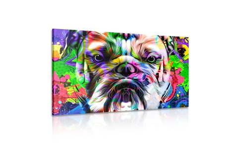 OBRAZ POP-ART BULDOČEK - OBRAZY - TOTÁLNÍ VÝPRODEJ 🔥