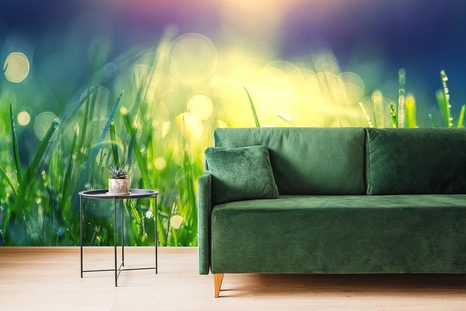 TAPETA ROSA NA LOUCE - TAPETY PŘÍRODA - TAPETY