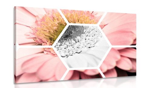 CANVAS PRINT GERBERA IN A HEXAGON - PICTURES FLOWERS - PICTURES