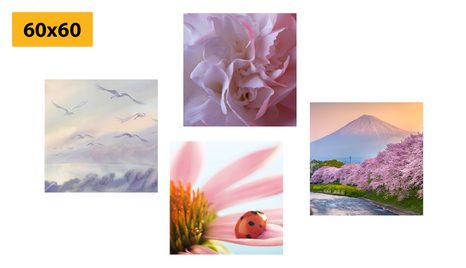 BILDER-SET BEZAUBERNDE ZARTE NATUR - BILDERSETS - BILDER