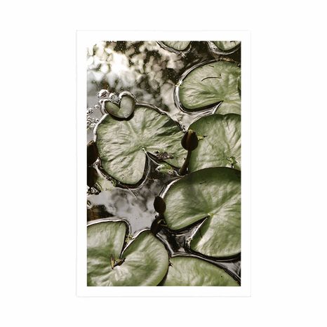 AFFICHE – NÉNUPHARS DANS LE JARDIN - NATURE - AFFICHES