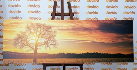 OBRAZ OSAMĚLÉHO STROMU - OBRAZY PŘÍRODY A KRAJINY - OBRAZY