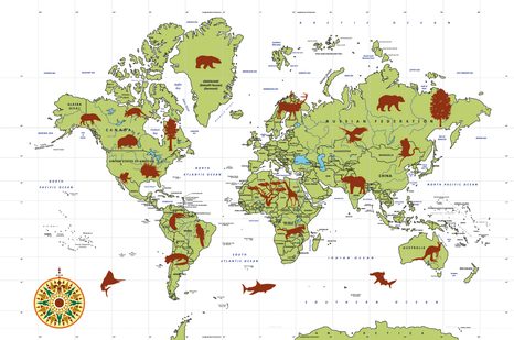 CARTA DA PARATI – MAPPA CON ANIMALI - CARTA DA PARATI MAPPE - CARTA DA PARATI