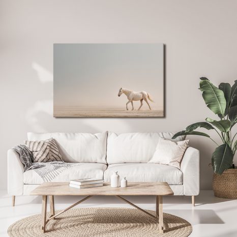 OBRAZ BÍLÝ KŮŇ V POUŠTI - OBRAZY KONĚ - OBRAZY